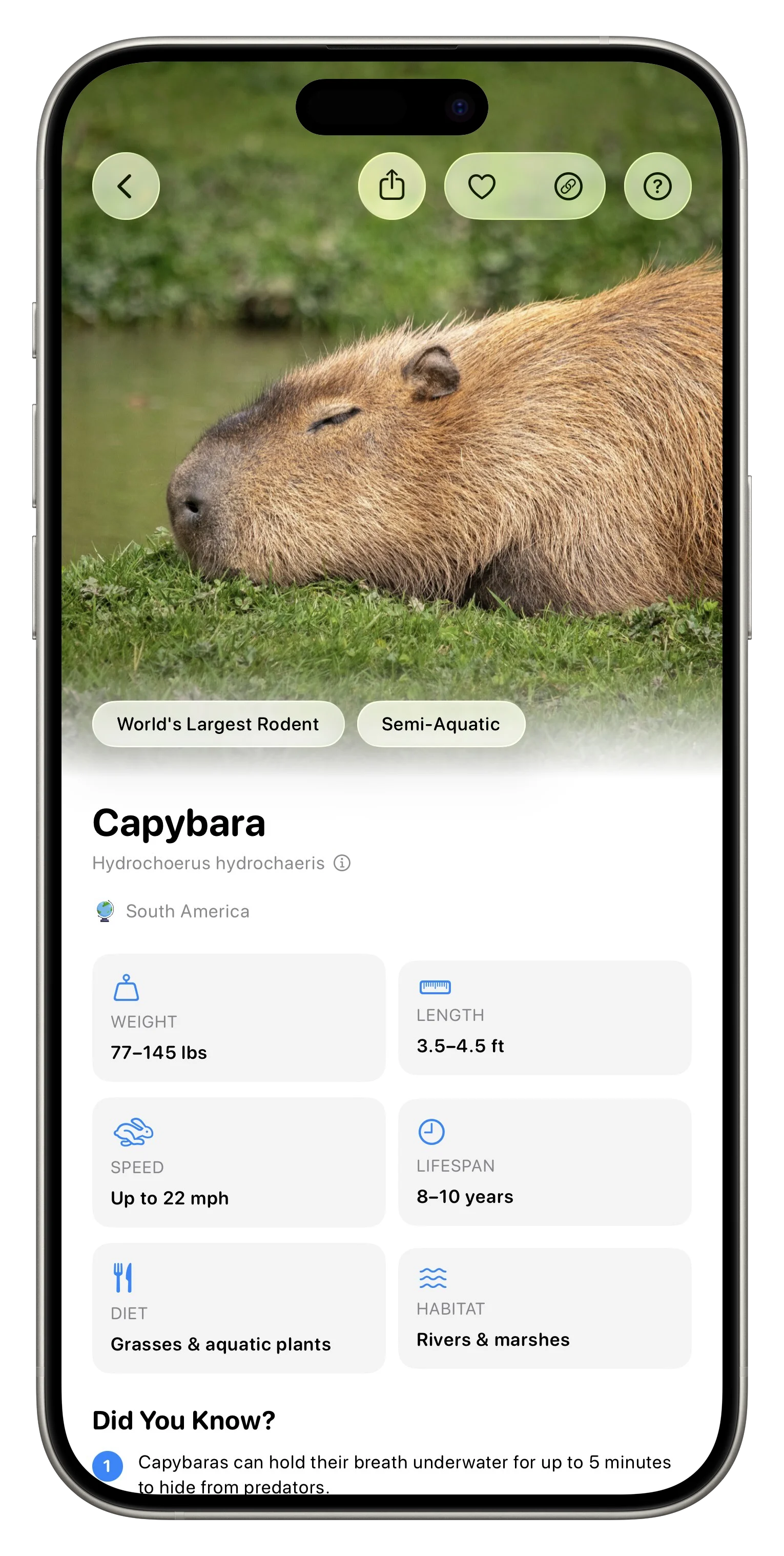 Fauna App Screenshot